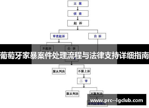 葡萄牙家暴案件处理流程与法律支持详细指南