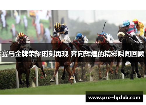 赛马金牌荣耀时刻再现 奔向辉煌的精彩瞬间回顾