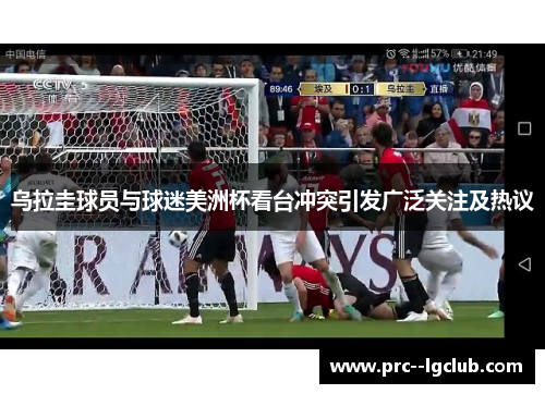 乌拉圭球员与球迷美洲杯看台冲突引发广泛关注及热议