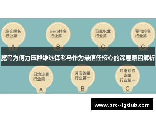 魔鸟为何力压群雄选择老马作为最信任核心的深层原因解析